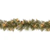 Discount National Tree Company 9 Ft. Glittery Bristle® Pine Garland With Clear Lights