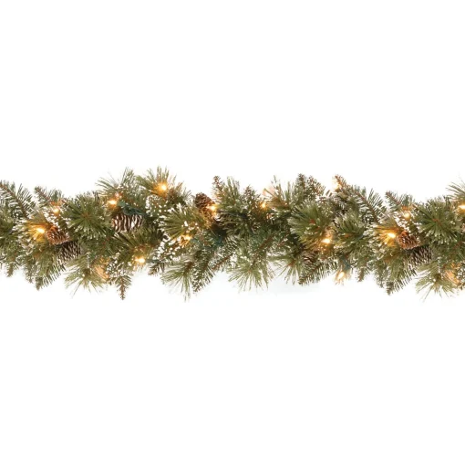 Discount National Tree Company 9 Ft. Glittery Bristle® Pine Garland With Clear Lights