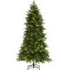 75 Ft Green River Spruce Slim Tree With Dual Color® Led Lights^National Tree Company Best