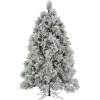 Best National Tree Company 6.5 Ft. Hgtv Home Collection Pre-Lit Flocked Bavarian Pine Tree