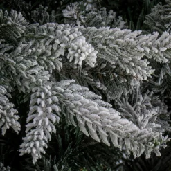 Online National Tree Company 6.5 Ft Holliston Tree