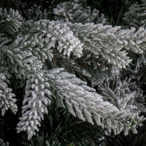 Discount National Tree Company 6.5 Ft Holliston Tree