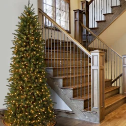 Clearance National Tree Company 12 Ft. Jersey Fraser Fir Pencil Slim Tree With Clear Lights
