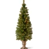 Hot National Tree Company 5 Ft. Montclair Spruce Entrance Tree With Clear Lights