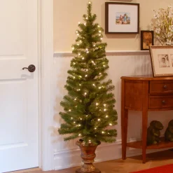 Hot National Tree Company 5 Ft. Montclair Spruce Entrance Tree With Clear Lights