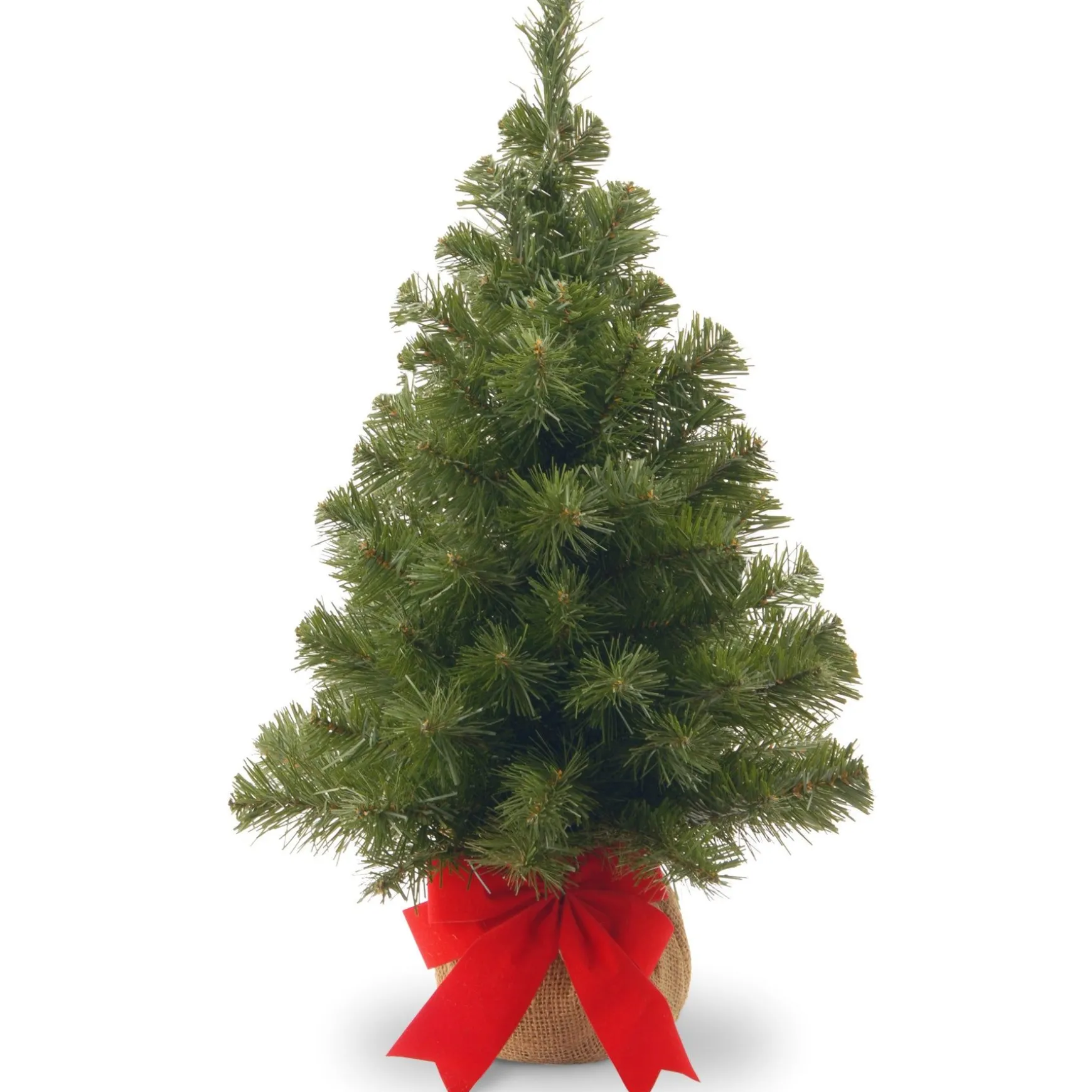 Store National Tree Company 2 Ft Noble Spruce Tree