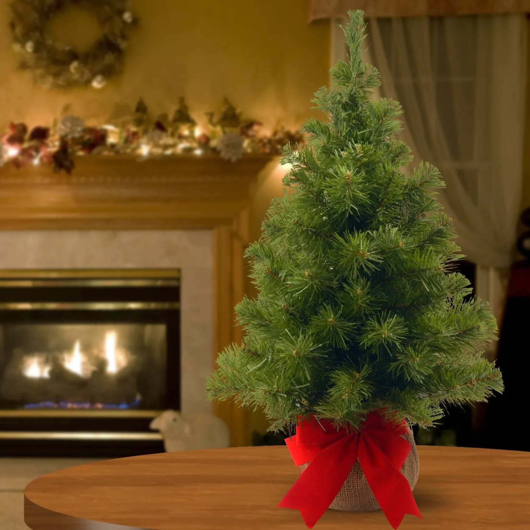 Store National Tree Company 2 Ft Noble Spruce Tree