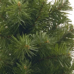 Store National Tree Company 2 Ft Noble Spruce Tree