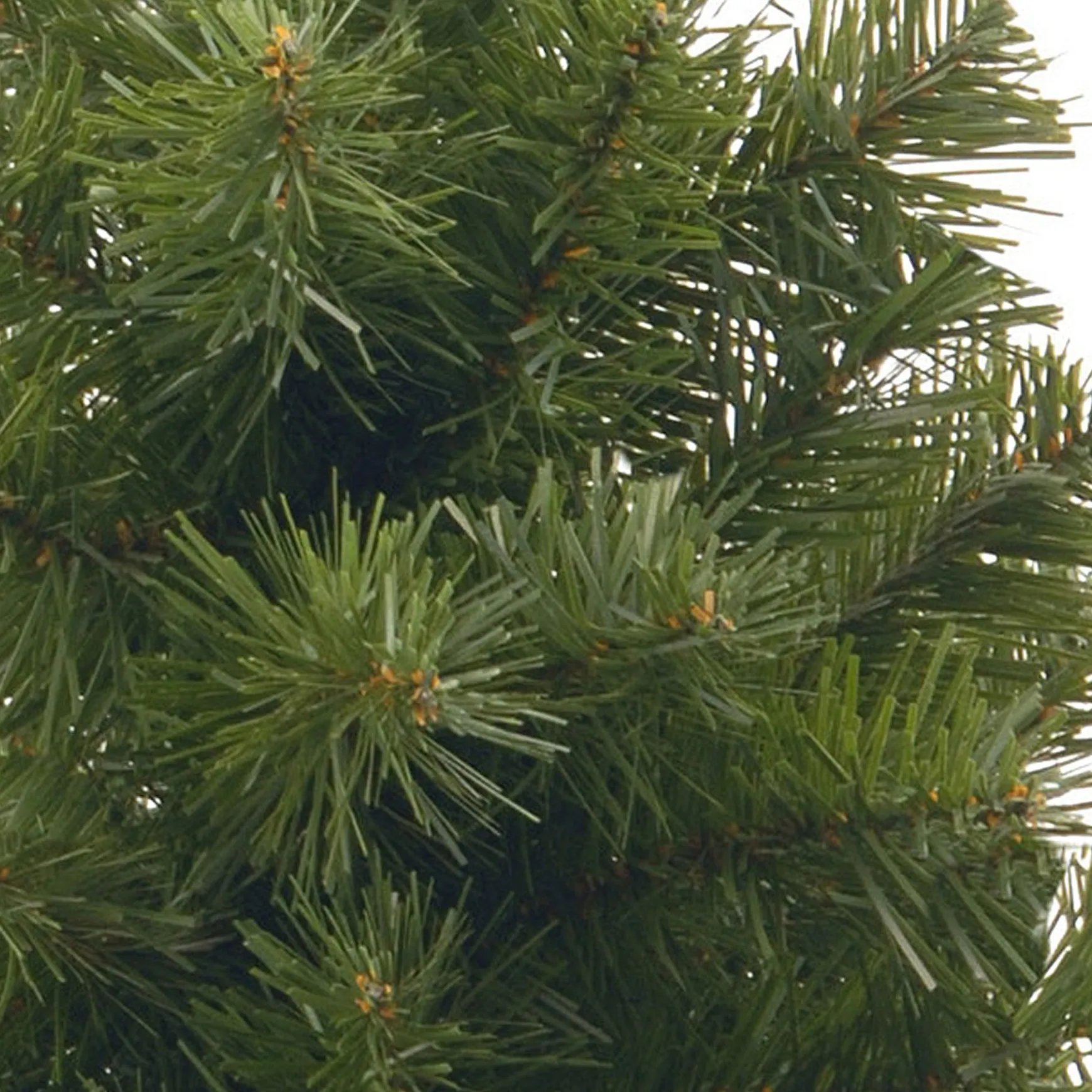 Store National Tree Company 2 Ft Noble Spruce Tree