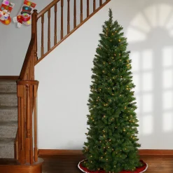 Best Sale National Tree Company 7.5 Ft. Pennington Fir Pencil Tree With Clear Lights
