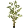 6 Ft. Potted Japanese Bamboo Tree^National Tree Company Clearance