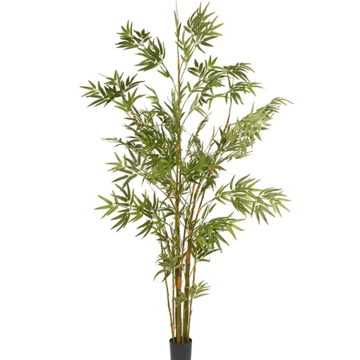 6 Ft. Potted Japanese Bamboo Tree^National Tree Company Clearance
