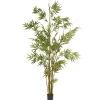 Cheap National Tree Company 6 Ft. Potted Japanese Bamboo Tree