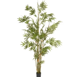 Cheap National Tree Company 6 Ft. Potted Japanese Bamboo Tree