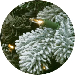 Store National Tree Company 7.5 Ft. Powerconnect(Tm) Snowy Sheffield Spruce With Warm White Led Lights