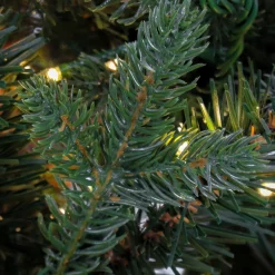 Cheap National Tree Company 7.5 Ft Pre-Lit Aspen Pine Tree With Led Lights