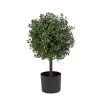 Cheap National Tree Company 2 Ft. Pre-Lit Boxwood Single Ball Topiary In Black Nursery Pot