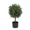 2 Ft. Pre-Lit Boxwood Single Ball Topiary In Black Nursery Pot^National Tree Company Hot