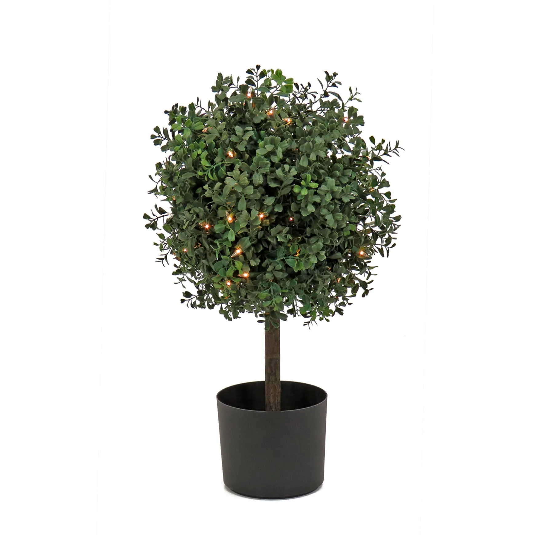 2 Ft. Pre-Lit Boxwood Single Ball Topiary In Black Nursery Pot^National Tree Company Hot