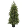 Shop National Tree Company 5 Ft. Pre-Lit Cypress Tree In Nursery Pot