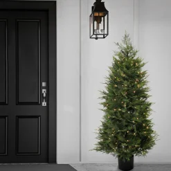 Shop National Tree Company 5 Ft. Pre-Lit Cypress Tree In Nursery Pot