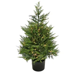 3 Ft. Pre-Lit Cypress Tree In Nursery Pot^National Tree Company Cheap