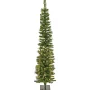 Discount National Tree Company 6 Ft. Pre-Lit Nooksack Fir Pencil Slim Tree With Led Lights