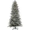 Cheap National Tree Company 7 Ft Pre-Lit Snowy Calton Pine Tree With Led Lights