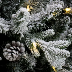 Cheap National Tree Company 7 Ft Pre-Lit Snowy Calton Pine Tree With Led Lights