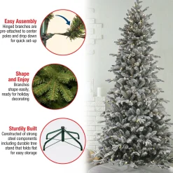 Cheap National Tree Company 7 Ft Pre-Lit Snowy Calton Pine Tree With Led Lights