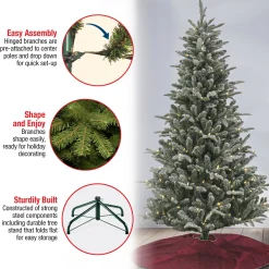 Best Sale National Tree Company 6 Ft. Pre-Lit Snowy Libby Fir Tree With Led Lights