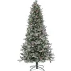 Best National Tree Company 7.5 Ft Pre-Lit Snowy Poechmann Fir Tree With Led Lights
