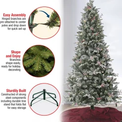Best National Tree Company 7.5 Ft Pre-Lit Snowy Poechmann Fir Tree With Led Lights