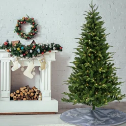 Shop National Tree Company 6 Ft. Pre-Lit Whatcom Pine Tree With Led Lights