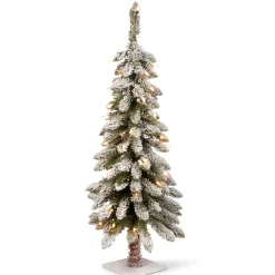 Cheap National Tree Company 3 Ft. Snowy Downswept Forestree With Clear Lights