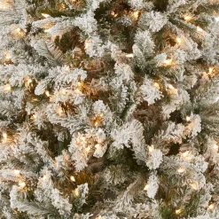 Cheap National Tree Company 6.5 Ft. Snowy Mixed Pine Tree With Clear Lights