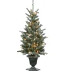 4 Ft Snowy Morgan Spruce Entrance Tree With Clear Lights^National Tree Company Outlet