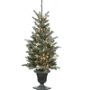 Best National Tree Company 4 Ft Snowy Morgan Spruce Entrance Tree With Clear Lights