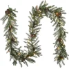 Cheap National Tree Company 9 Ft. Snowy Morgan Spruce Garland With Clear Lights