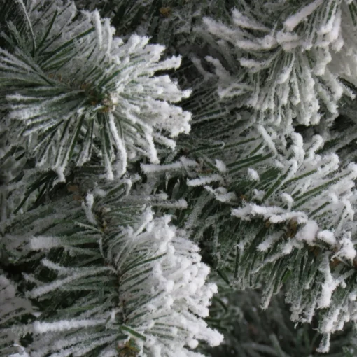 Flash Sale National Tree Company 7.5 Ft. Snowy North Valley Spruce Tree