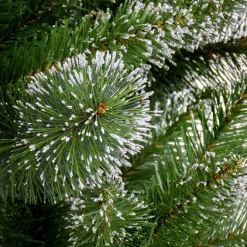 Outlet National Tree Company 6 Ft. Snowy Sierra Spruce Tree