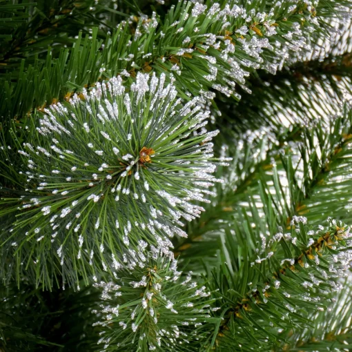 Fashion National Tree Company 6 Ft. Snowy Sierra Spruce Tree