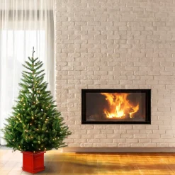 Discount National Tree Company 6 Ft. Topeka Spruce Entrance Tree With Clear Lights