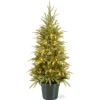 4 Ft Weeping Spruce Tree With Clear Lights^National Tree Company Store