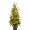 Store National Tree Company 4 Ft Weeping Spruce Tree With Clear Lights