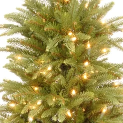 Store National Tree Company 4 Ft Weeping Spruce Tree With Clear Lights