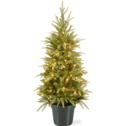 Shop National Tree Company 4 Ft Weeping Spruce Tree With Clear Lights