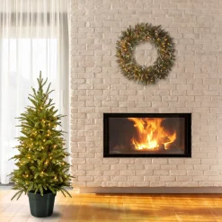 Shop National Tree Company 4 Ft Weeping Spruce Tree With Clear Lights