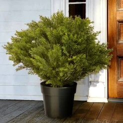 Cheap National Tree Company 26" Globe Cedar Tree