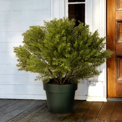 Shop National Tree Company 22" Globe Cedar Tree
